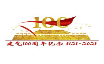 建党100周年党日活动总结6篇