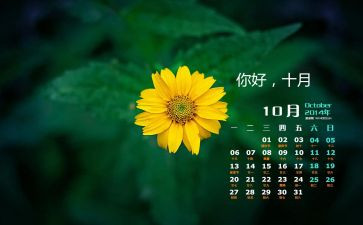 团10月工作计划优质6篇
