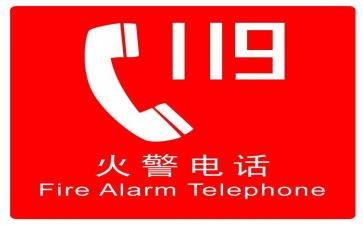 2024年119消防日活动总结推荐8篇