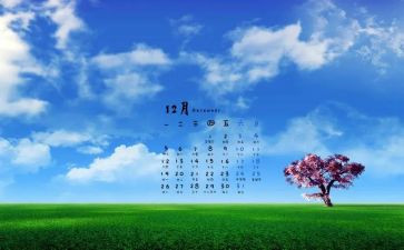 幼儿园12月份教师总结6篇