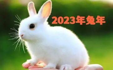 20237个人述职报告精选8篇