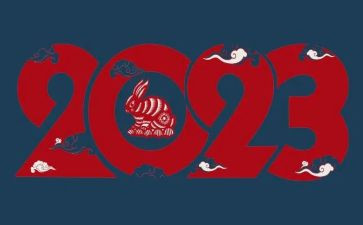 2023年医师个人述职报告5篇