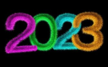 2023北京奥会心得体会最新7篇