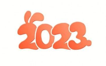 2023年医师述职报告8篇