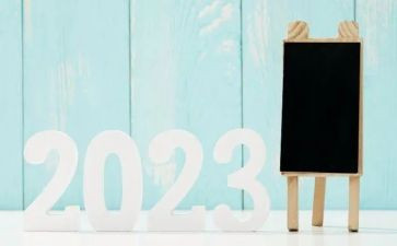 2023年民办学校年度工作总结6篇