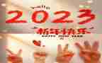 2023校长个人述职报告精选7篇
