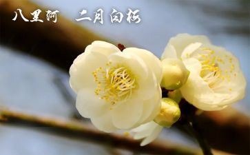 幼儿教师2月工作总结8篇