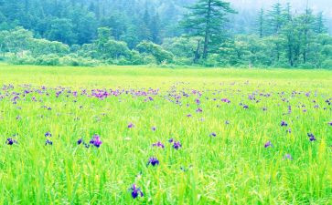 幼儿园3月活动总结优质7篇