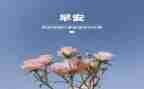 3月份幼儿园月总结5篇