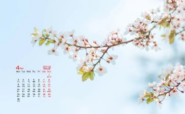 幼儿教师4月份的工作总结8篇
