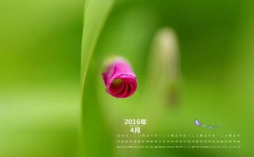 生活部4月份工作总结5篇