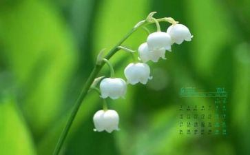 幼儿园中班4月工作计划5篇