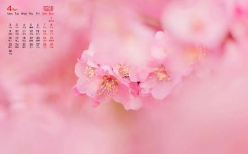 4月份党日活动方案6篇