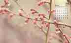 幼儿园中班2024年4月份工作总结6篇