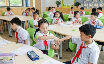 大班单双数教案优质8篇