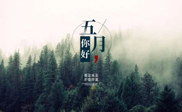 5月29活动总结精选7篇