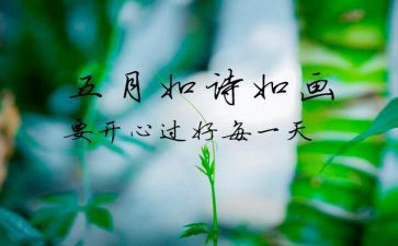 5月幼儿园月总结最新6篇