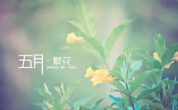 乡5月份安全生产工作总结8篇