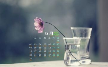 幼儿园6月活动总结8篇