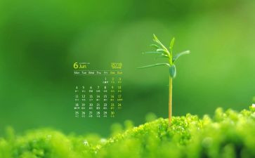 6月份销售工作总结7篇