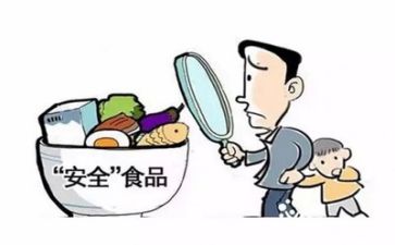 安全的作文模板6篇