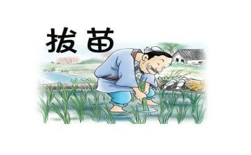 读后感拔苗助长读后感优质8篇