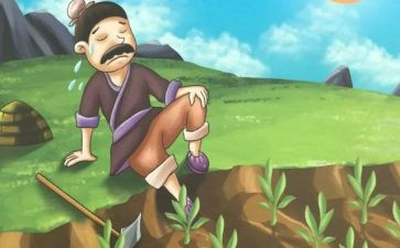 读后感拔苗助长读后感模板8篇