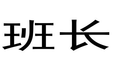 保安班长工作总结通用8篇