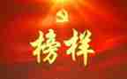 观看榜样的心得体会300字8篇
