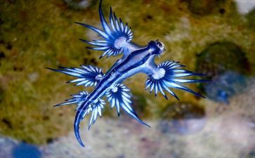 初中生物优秀教师工作总结7篇
