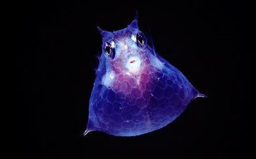 微生物实验心得体会8篇