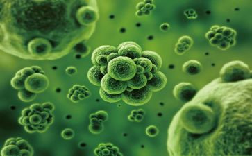 生物老师作文通用8篇