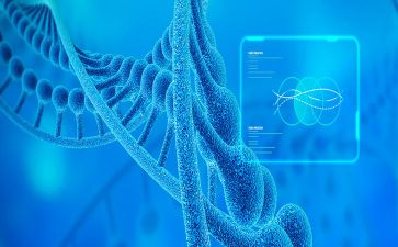 生物教师工作总结优秀5篇