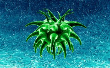 高三生物教师学期工作总结8篇