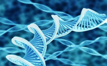 初二生物教师及工作总结7篇