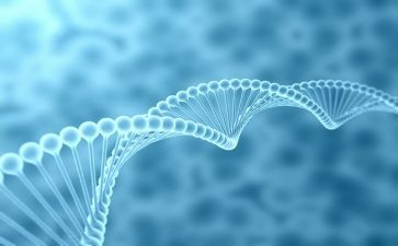 高二生物教师学期总结6篇