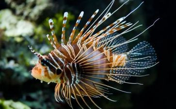 2023初中生物教师工作总结精选7篇