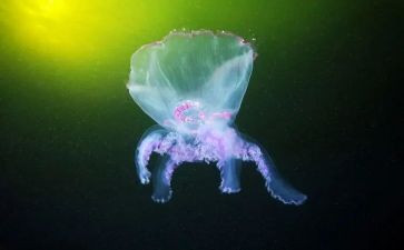 生物月教学总结与反思6篇