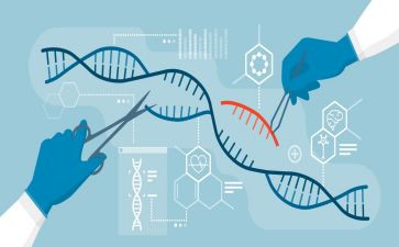 生物从种到界教学反思优秀7篇