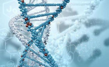 初中生物个人总结通用6篇