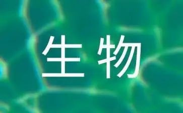 表的生物教学反思6篇