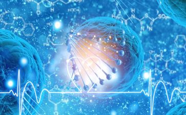 我的生物老师作文8篇
