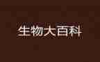 生物研修总结6篇