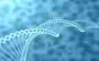 高二生物教师学期总结6篇