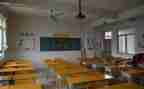幼儿园小小班班级工作总结模板5篇