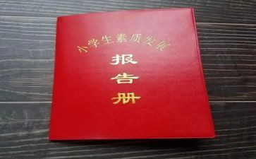 高中报告册个人总结8篇