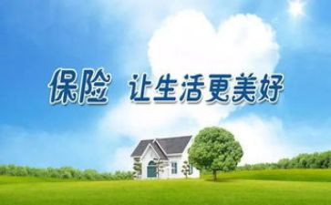 保险营销总结个人总结7篇