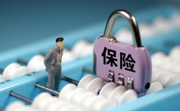 不保险的墙心得体会参考5篇