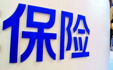 对保险的调查报告5篇