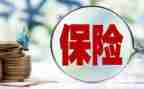 不保险的墙心得体会最新5篇